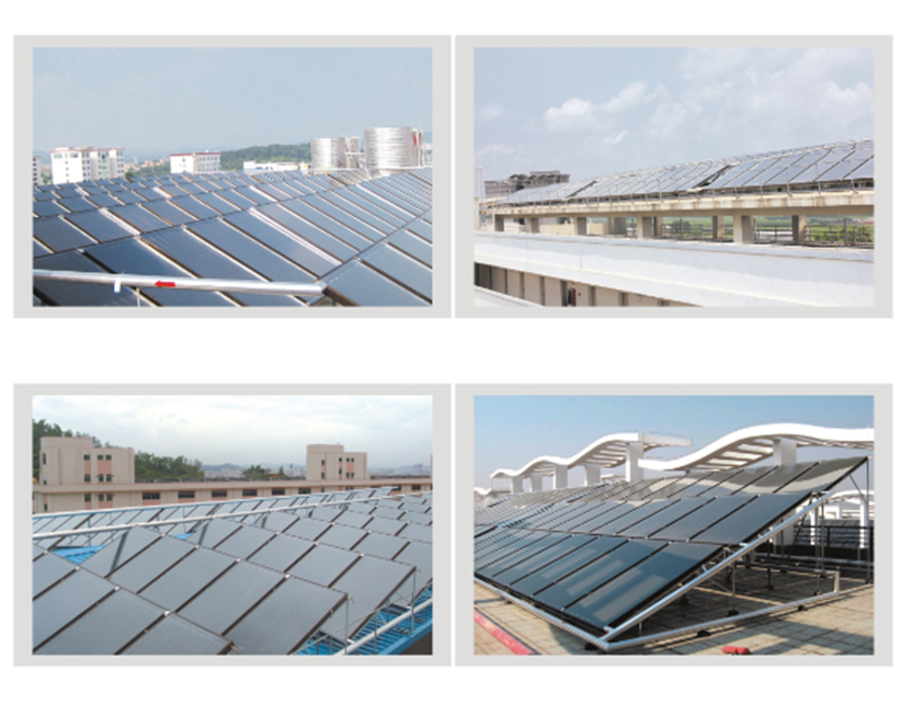 5e0472b5230c2.jpg thrtgio.jpg